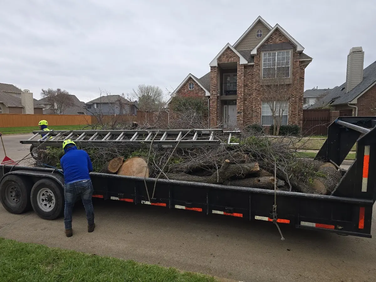 Expert Tree Fertilization with proper safety equipment in Ozark